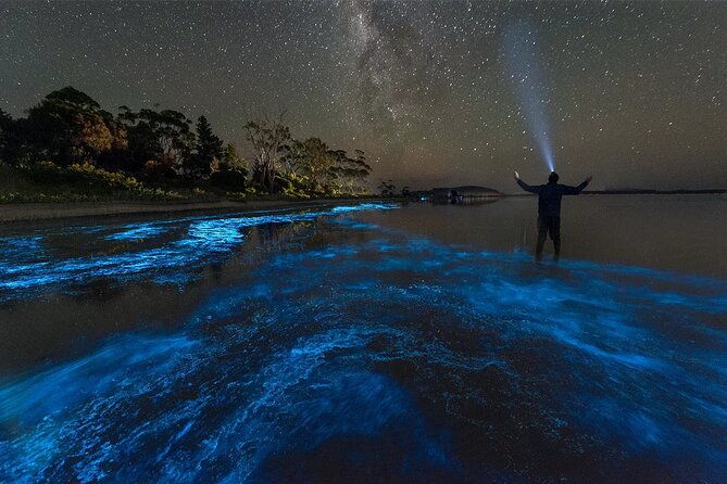 grand-cayman-bioluminescence-adventure