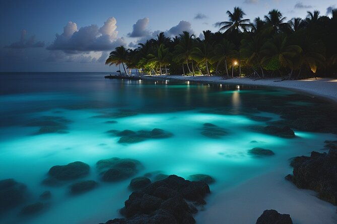 grand-cayman-bioluminescence-experience