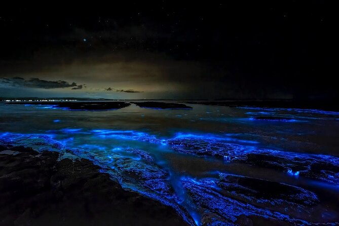 grand-cayman-bioluminescence-experience