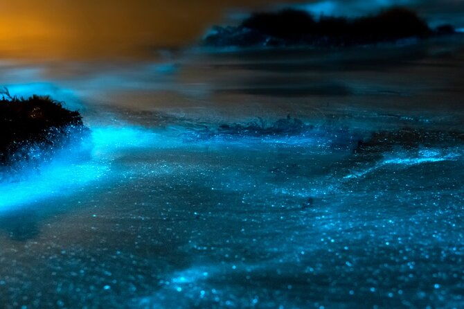 grand-cayman-bioluminescence-experience