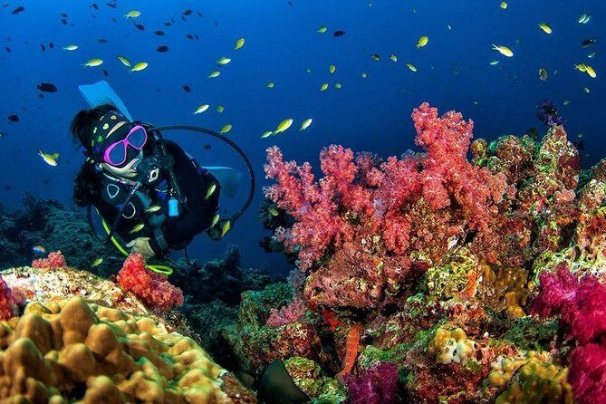 Grand Island Adventure: Diving and Water Sports Thrills - What to Expect from the Tour