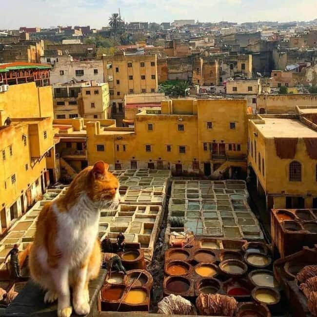Grand Morocco Tour from Casablanca  Flexible - The Final Leg: Marrakech