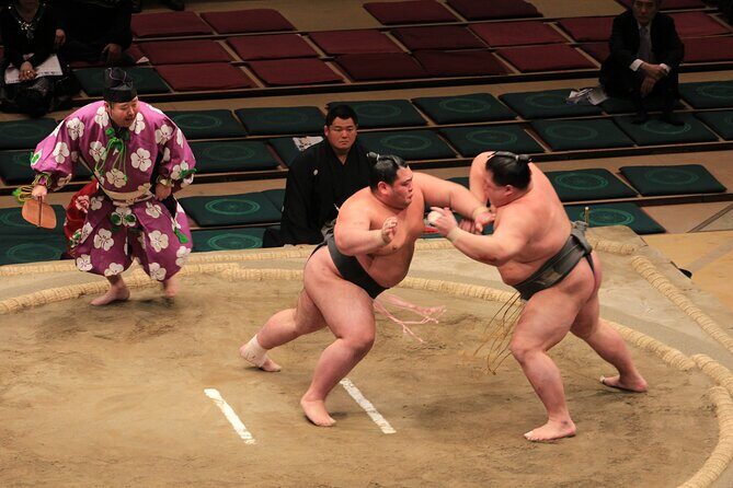Grand Sumo Tournament Tour, Osaka March 2026 (English Guide) - Key Points