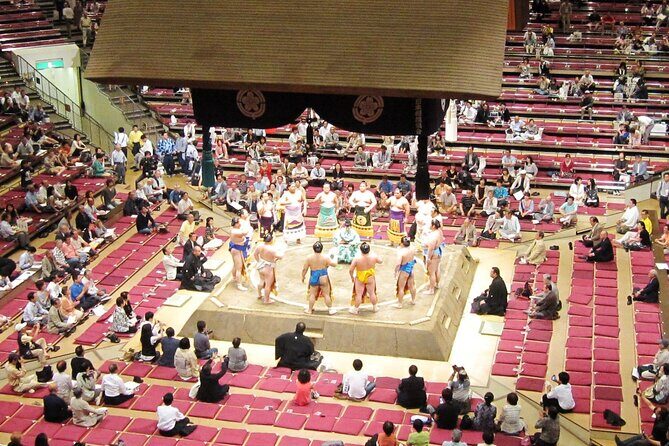 Grand Sumo Tournament Tour w/an English Guide ,Tokyo January 2026 - A Close Look at the Sumo Tour Experience