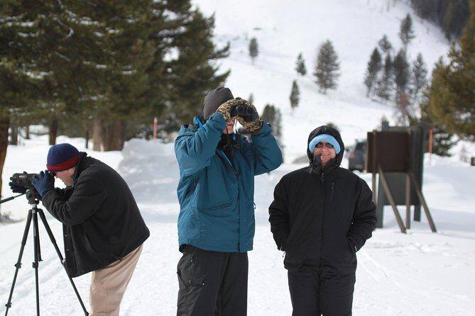 Grand Teton and National Elk Refuge Winter Wonderland Full Day Adventure - Who Is This Tour Best For?
