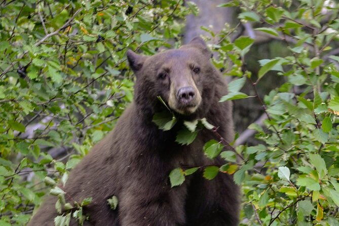 grand-teton-national-park-full-day-tour