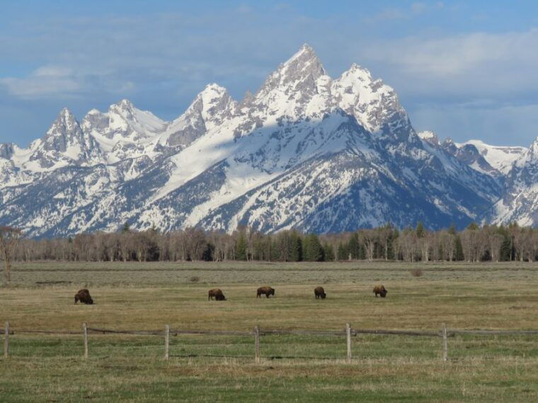 grand-teton-national-park-full-day-tour-with-boat-ride