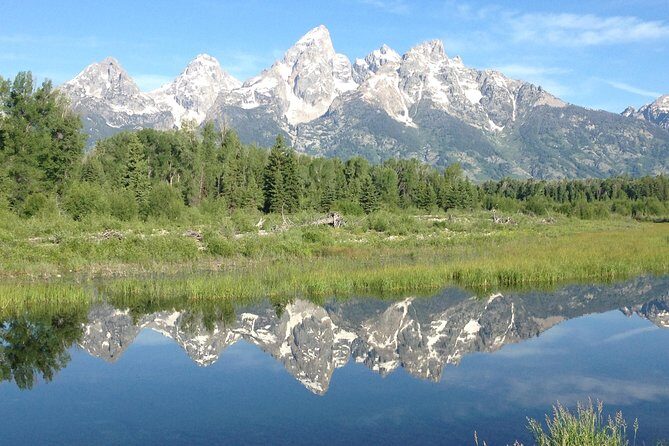 Grand Teton National Park - Sunrise Tour from Jackson Hole - The Wildlife Viewing Experience