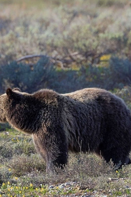 grand-teton-private-guided-tour-sunset
