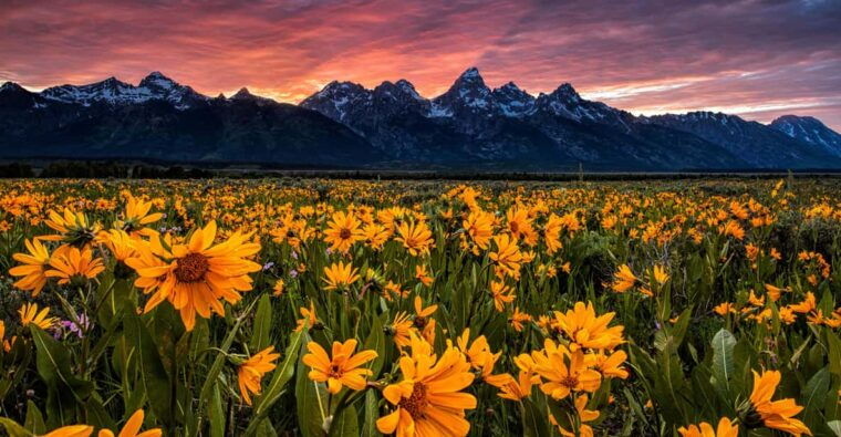 grand-teton-private-guided-tour-sunset