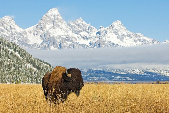 grand-teton-self-guided-driving-audio-tour-2