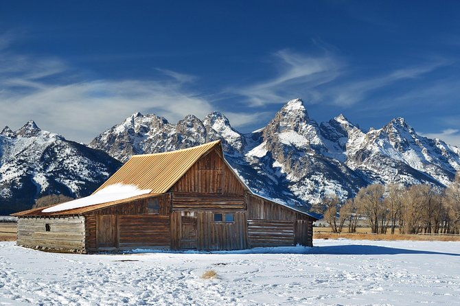 grand-teton-wildlife-safari-in-a-enclosed-or-open-air-vehicle-season-dependent
