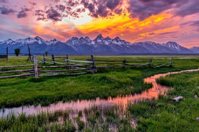 grand-teton-wildlife-safari-in-a-enclosed-or-open-air-vehicle-season-dependent
