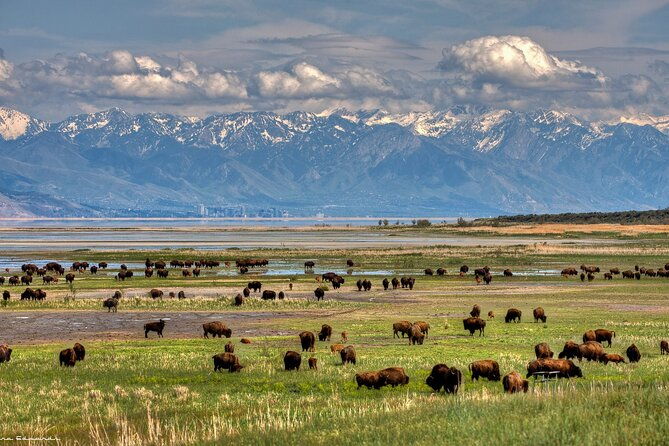 grand-teton-yellowstone-and-glacier-national-parks-8-day-tour