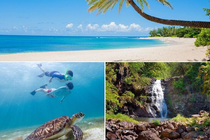 grand-tour-around-oahu-swim-at-waterfall-turtle-beach