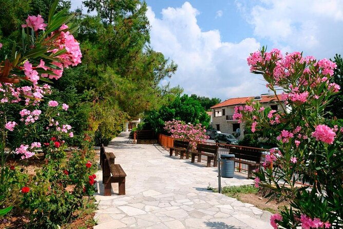 grand-tour-full-day-jeep-safari-from-paphos