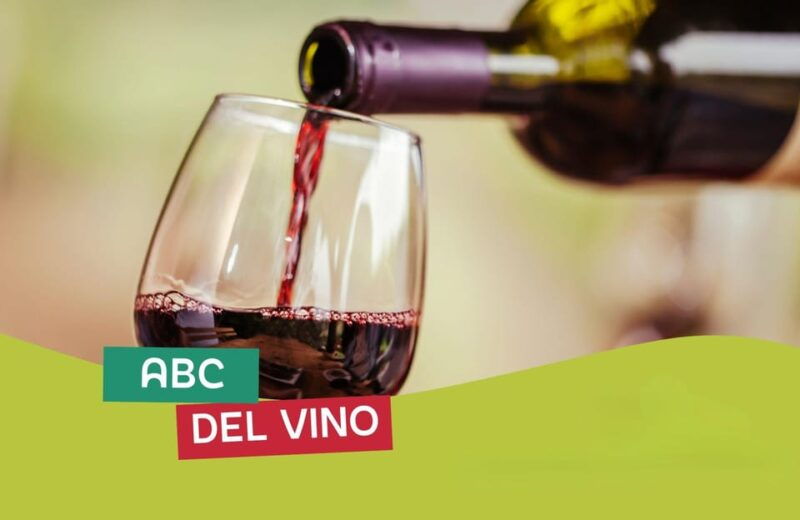 grand-tour-italy-bologna-the-abcs-of-wine