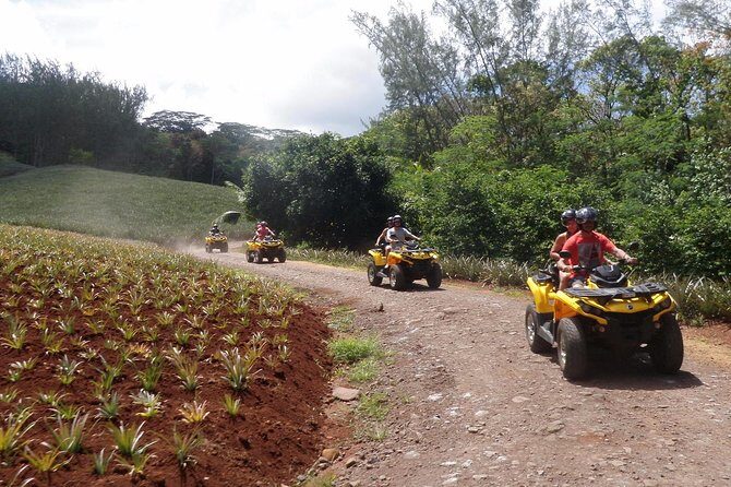 Grand Tour Quad Excursion in Moorea (Single or Two-Seater) - Who Will Love This Tour?