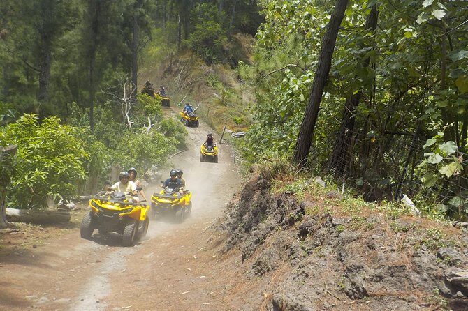 Grand Tour Quad Excursion in Moorea (Single or Two-Seater) - Final Thoughts