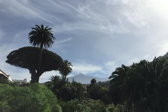 grand-tour-tenerife-full-day-private-vip-tour-2