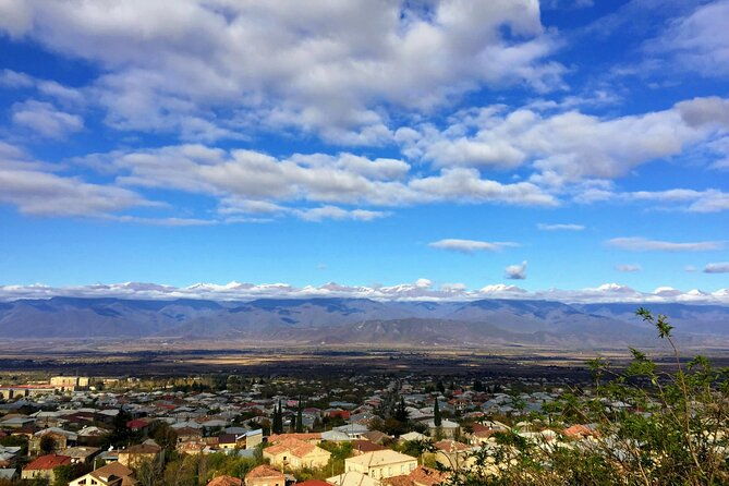 grand-tour-to-kakheti-for-wine-lovers-telavi-kvareli-sighnaghi-2