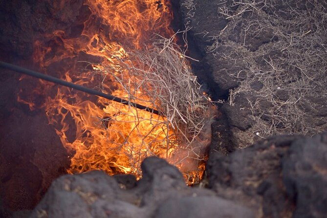 grand-tour-to-timanfaya-and-jameos-del-agua-for-cruise-passengers