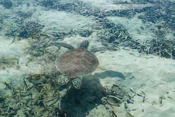 grand-turk-exclusive-paddle-adventure