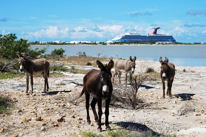 grand-turk-historical-sightseeing-tour-by-tram