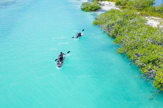 grand-turk-island-kayak-tour-of-the-mangroves
