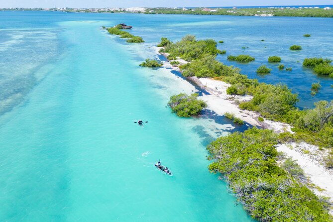 grand-turk-island-kayak-tour-of-the-mangroves