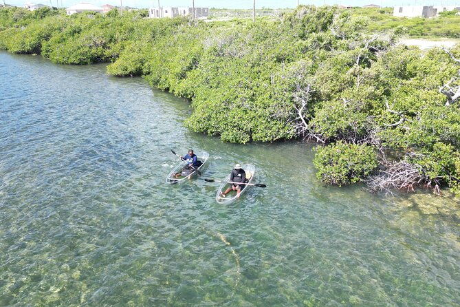 grand-turk-island-kayak-tour-of-the-mangroves