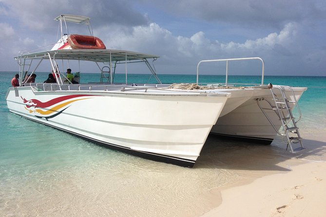grand-turk-whale-watching