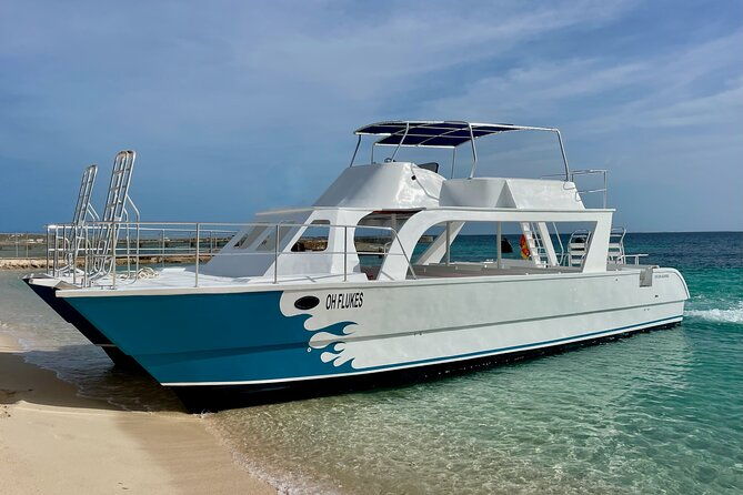 grand-turk-whale-watching