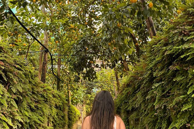 grandpa-mario-lemon-tour