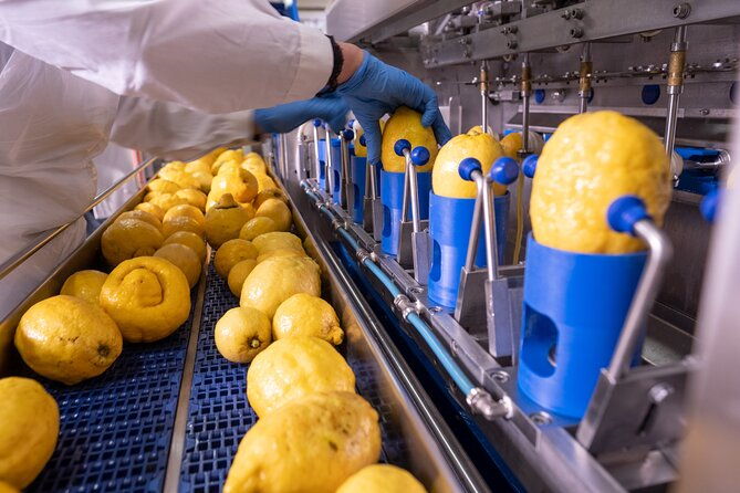 grandpa-mario-lemon-tour