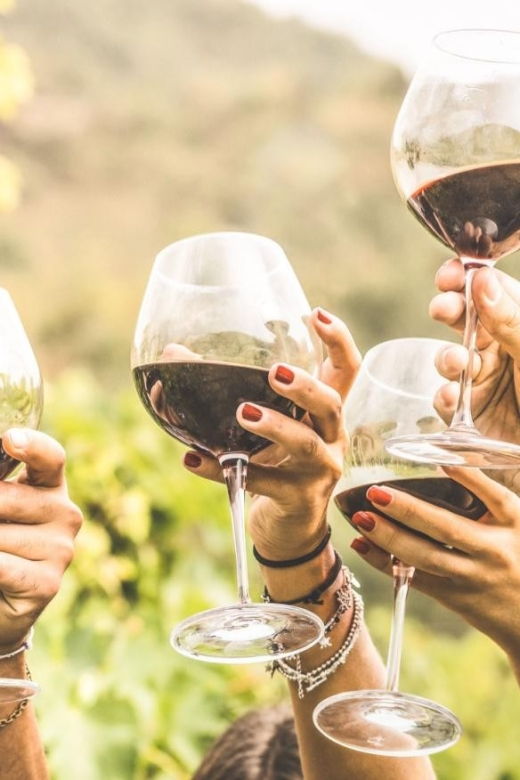 grape-escapes-full-day-wine-tour-in-ithaca