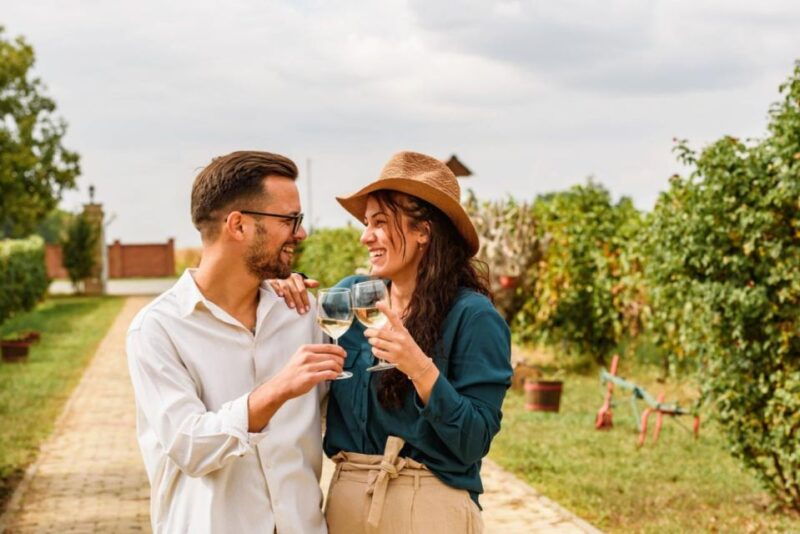 grape-escapes-full-day-wine-tour-in-ithaca