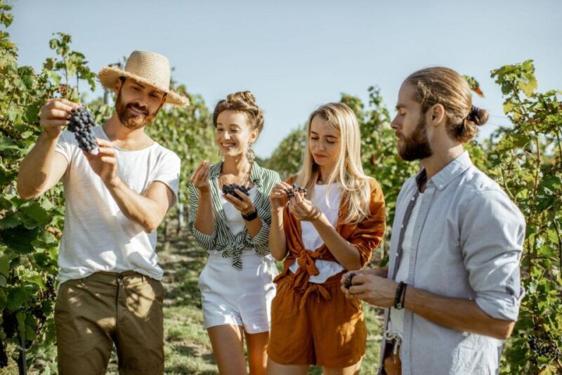 grape-escapes-full-day-wine-tour-in-ithaca