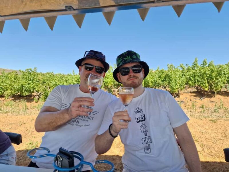Grape Escapes: Wine Event of a Special Kind in Durbanville - Key Points