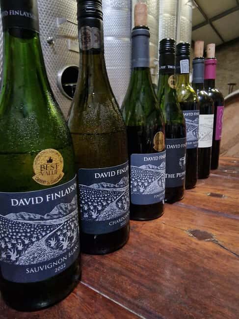 Grape Escapes: Wine Event of a Special Kind in Durbanville - A Genuine Look at the Grape Escapes Experience