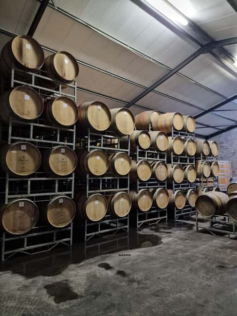 Grape Escapes: Wine Event of a Special Kind in Durbanville - Who Will Love this Tour?