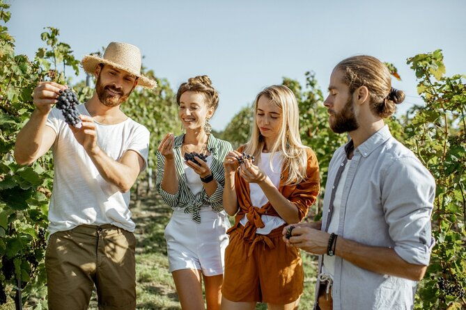 grape-escapes-wine-full-day-tour-in-ithaca