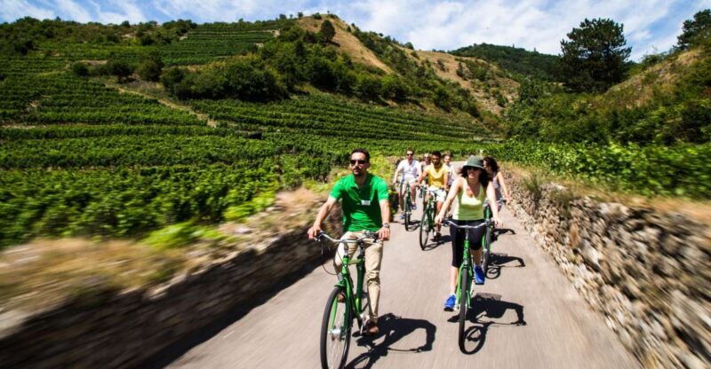 grape-grazing-wachau-valley-winery-biking-tour