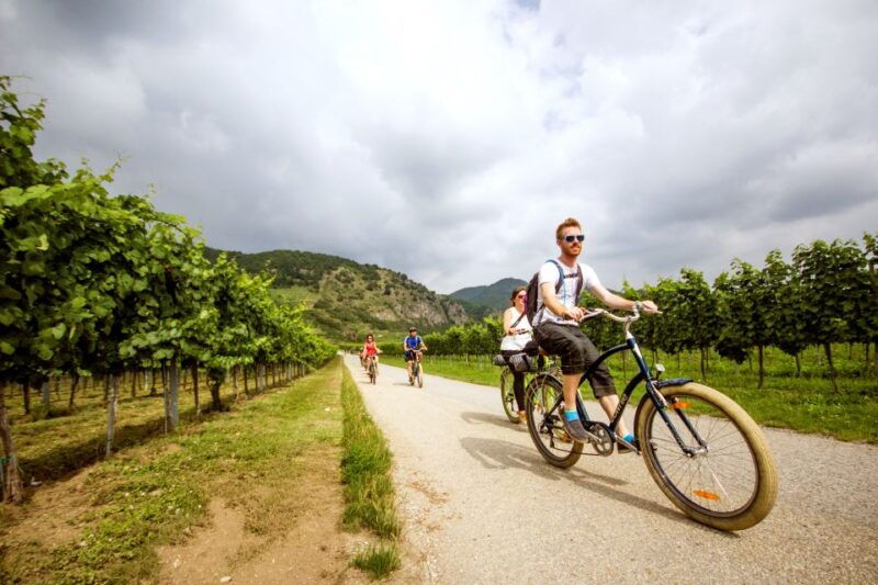 grape-grazing-wachau-valley-winery-biking-tour