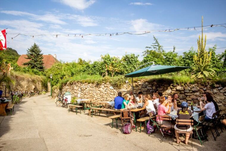 grape-grazing-wachau-valley-winery-biking-tour