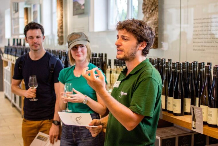 grape-grazing-wachau-valley-winery-biking-tour