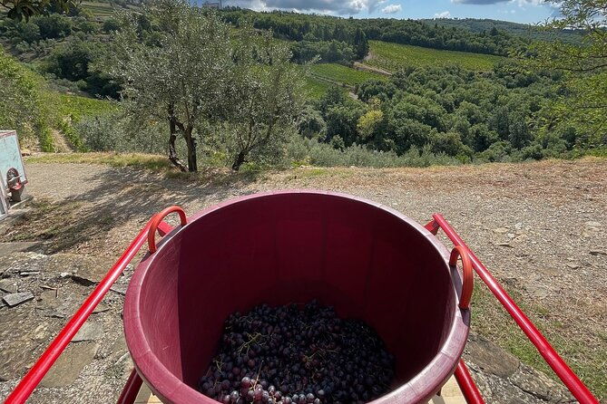 grape-stomping-and-wine-tasting-in-tuscany