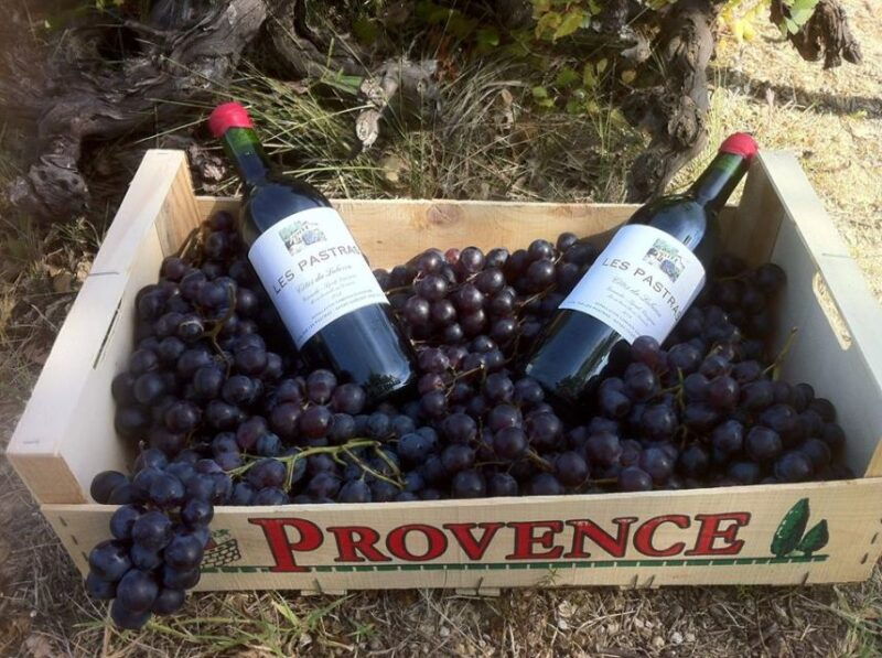 grape-stomping-in-provence-2