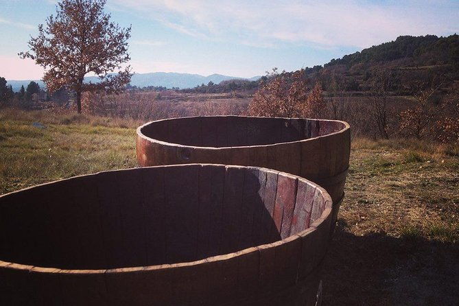 grape-stomping-in-provence
