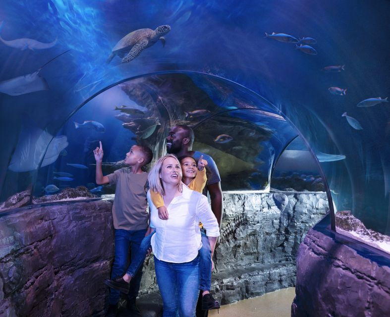 grapevine-sea-life-grapevine-aquarium-general-admission